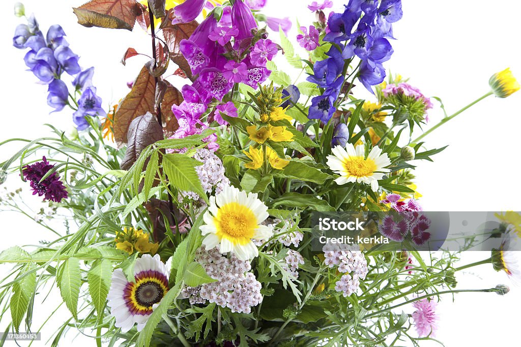 Bouquet von Wildblumen - Lizenzfrei Blumenbouqet Stock-Foto