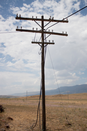 Old Telegraph Pole.