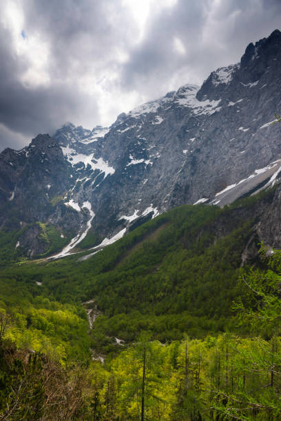 istock Beautifull Logar valley or Logarska dolina 1713605553