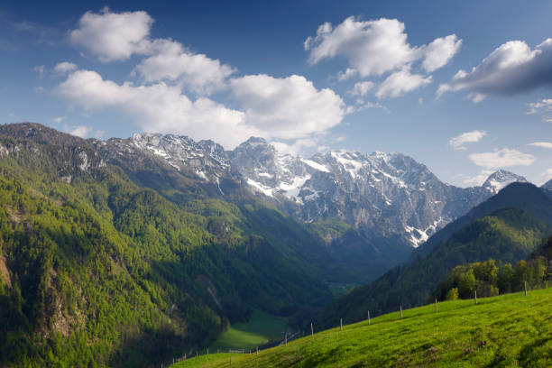 istock Beautifull Logar valley or Logarska dolina 1713606078