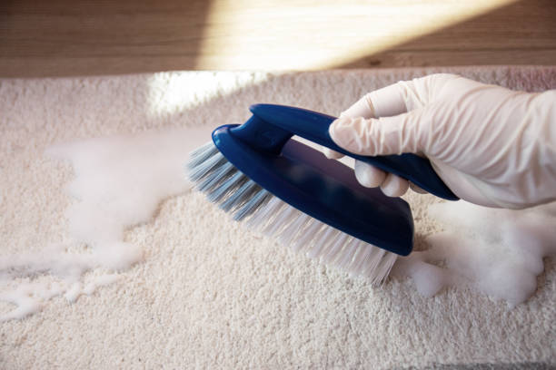istock Blue brush on the floor. Cleaning. 1713606676