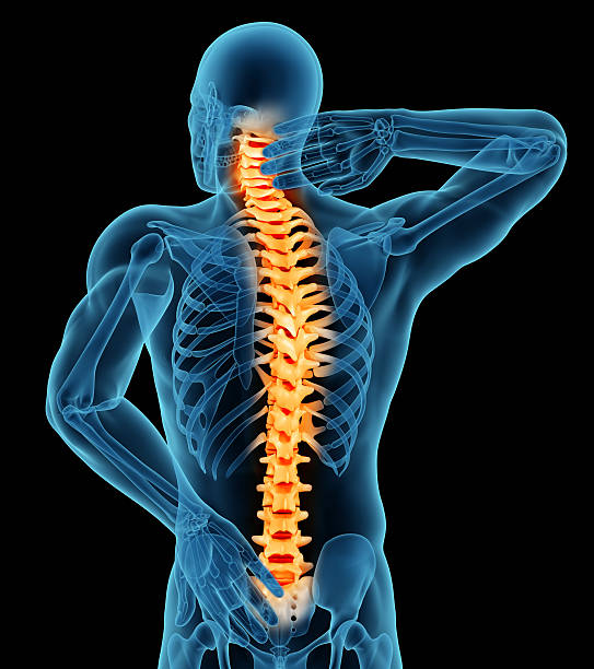 部位の痛み男性を示す - human spine backache pain back ストックフォトと画像