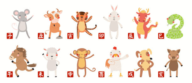 ilustraciones, imágenes clip art, dibujos animados e iconos de stock de 12 lindos animales de dibujos animados de la colección del zodiaco asiático - año de la serpiente