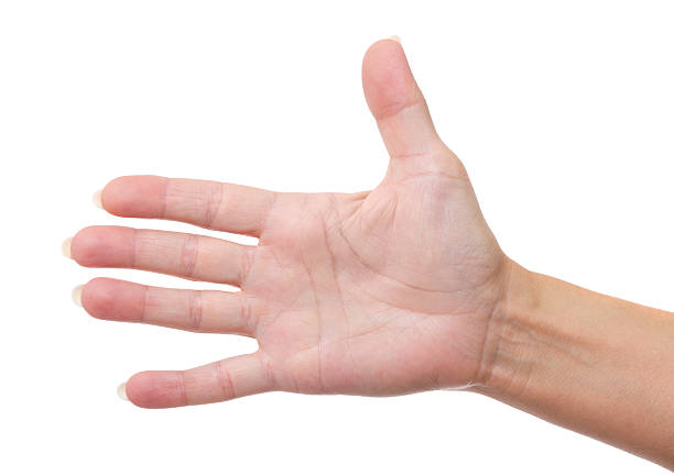 istock adult woman's hand 171361910