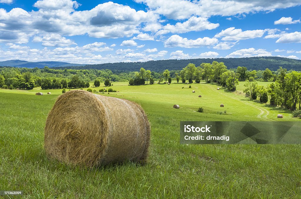 Campi verdi con fieno Bales sotto il cielo limpido Cloud - Foto stock royalty-free di York - Pennsylvania