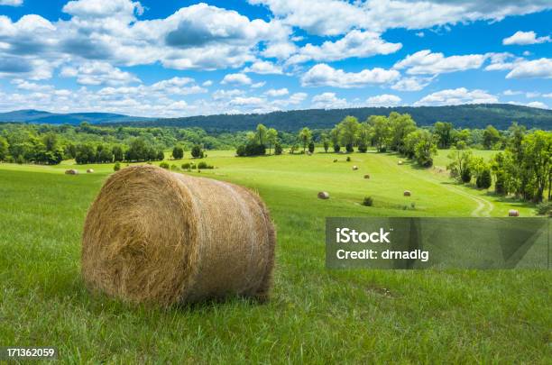 Зеленые Поля С Сено Bales Под Облако С Наполнителем Небо — стоковые фотографии и другие картинки Йорк - Пенсильвания