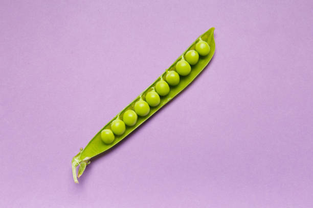 fresh green peas in an open pod on a lilac background, top view, copy space. - green pea pea pod salad legume imagens e fotografias de stock