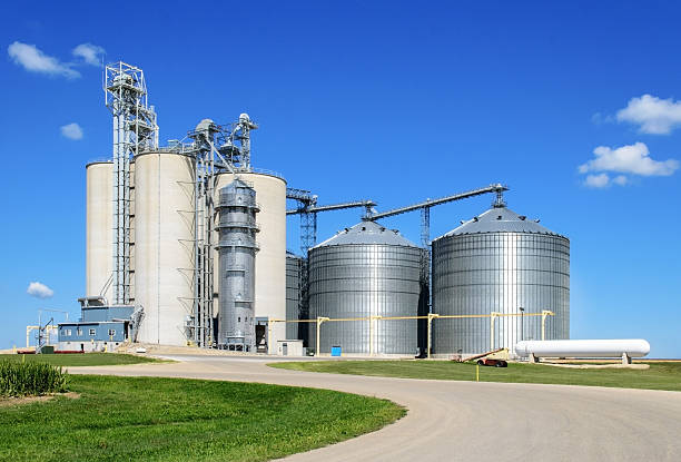 Long shot of grain elevator facility on a sunny day stock photo