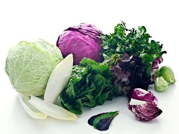 istock lettuce family portrait 171362839