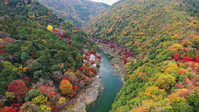 Arashiyama's Autumn  Natural