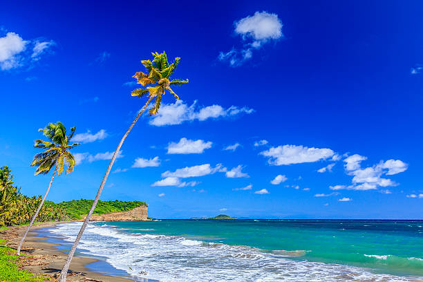 istock Antoine Bay, Grenada W.I. 171363149