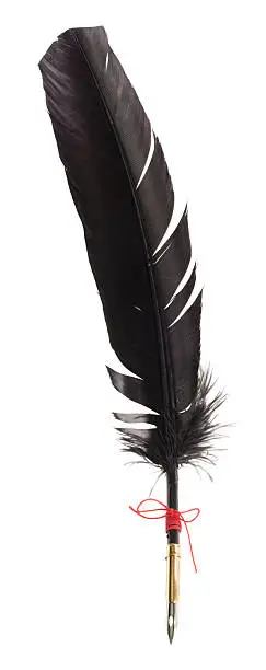 Black feather quill pen on white background. 