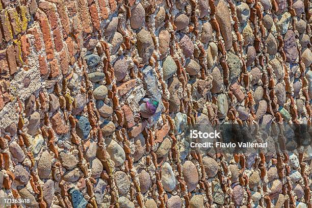 Pigeon In Nest Stock Photo - Download Image Now - Ancient, Animal, Animal Wildlife
