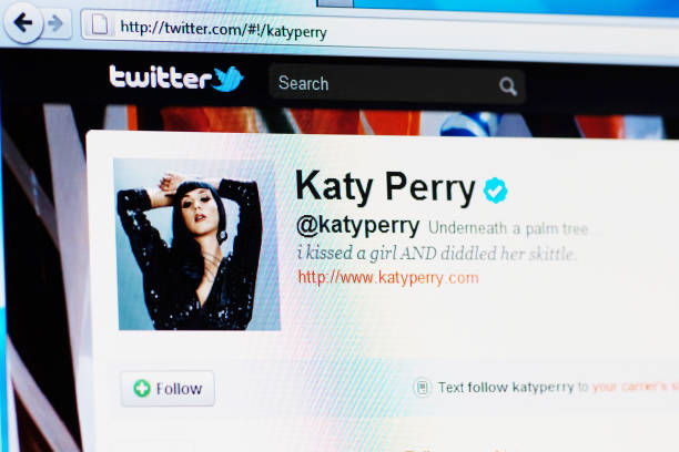 profilo twitter pagina di katy perry su rgb monitor portatile - perry foto e immagini stock