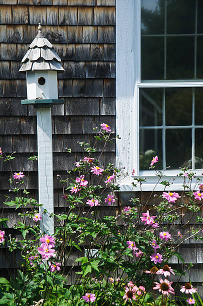 istock Birdhouse with Pink Anemones 171363999