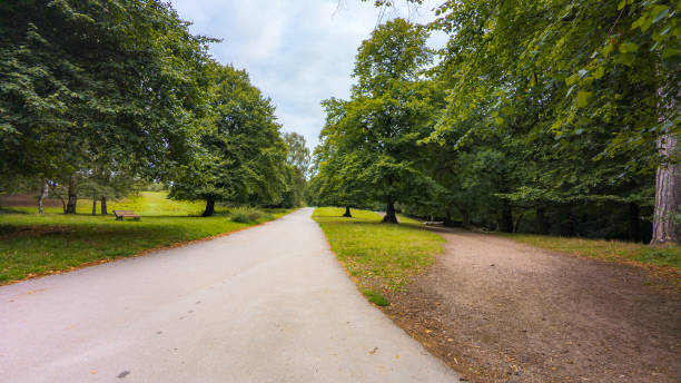 Sutton Park Sutton Park is one of the biggest parks in Birmingham, its a lovely area if you like enjoying nature sutton park stock pictures, royalty-free photos & images