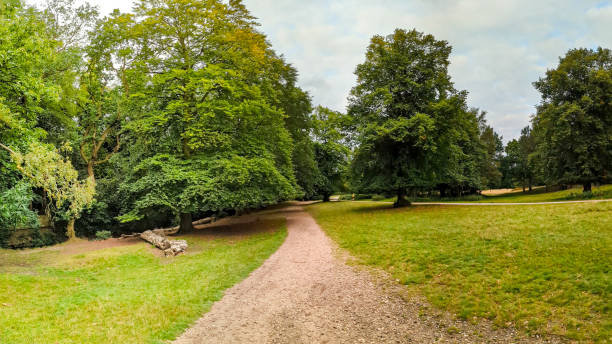 Sutton Park Sutton Park is one of the biggest parks in Birmingham, its a lovely area if you like enjoying nature sutton park stock pictures, royalty-free photos & images