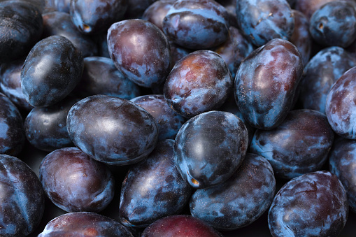 Pile of ripe organic plums close-up. Fruit background.
