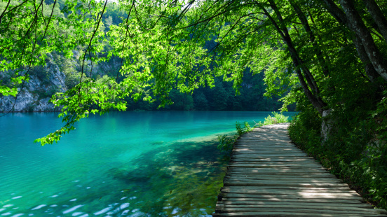 Idyllic pathway at the Plitvice Lakes, Croatia, a UNESCO World Heritage Site.