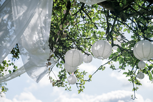Many white lanterns, paper lanterns, glitter necklaces and white cloth decoratively hang festively in the apple tree. For festival, party, wedding