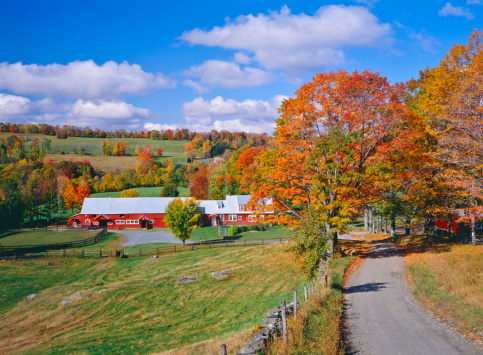 Autumn country side with rolling hills in Vermont