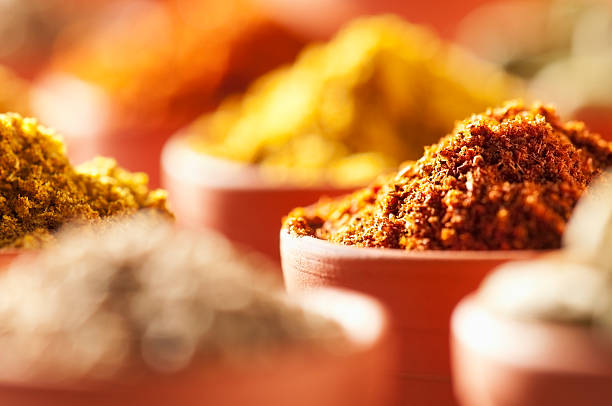 chão cozinhar especiarias coloridas em cerâmica de terracota bowls - cardamom indian culture food spice imagens e fotografias de stock