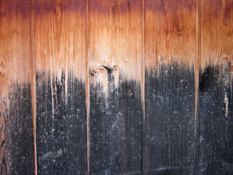 Closeup of a wooden door / wall texture with copy space in the background.