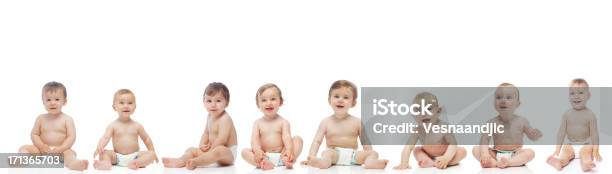 Group Of Babies Stock Photo - Download Image Now - Baby - Human Age, Babies Only, Diaper