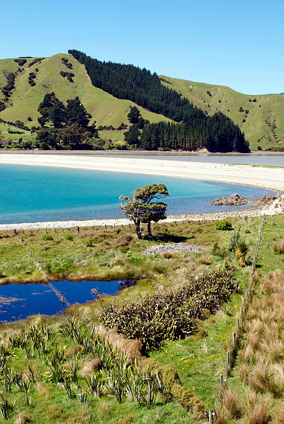 istock Seascape, Cable Bay, Nelson, New Zealand 171365943