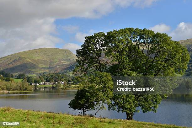 Lago Grasmere Foto de stock y más banco de imágenes de Grasmere - Grasmere, Agua, Aire libre