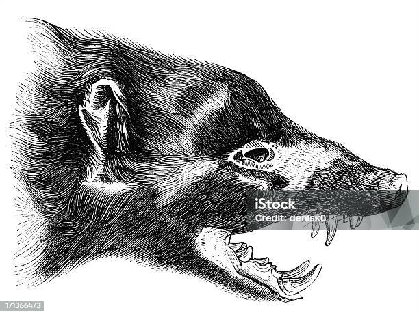 Head Of Skunk Stock Illustration - Download Image Now - Animal, Animal Body Part, Animal Head