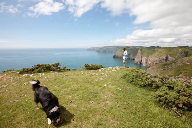istock Mature indian man on Pembrokeshire Coast headland 171367533