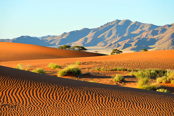 Dune riples in front of a mountain range