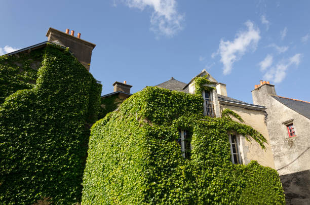 istock Rochefort en Terre 171367987