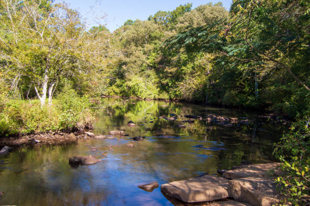Line Creek Nature Area