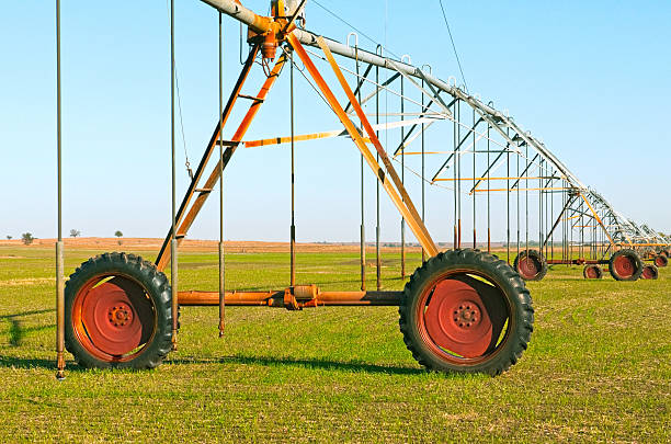 istock Irrigation equipment in alfalfa field 171368284