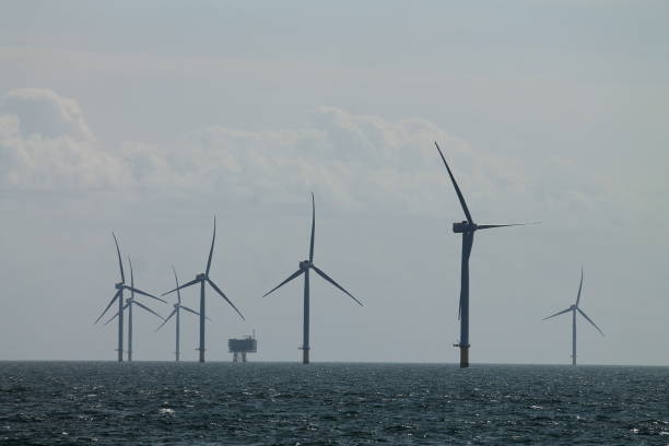 istock wind turbines at sea 1713686687