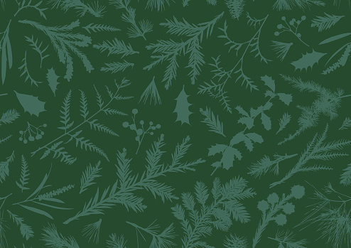 Realistic seamless green Christmas plants and floral vector silhouette nature botanic designs for use on Christmas cards and promotional advertising.
