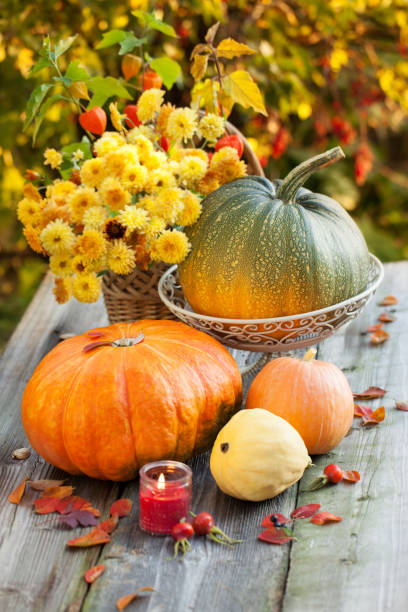 istock Pumpkins with autumn flowers 171368859