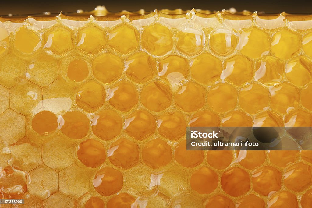 Honeycomb slice Honey Stock Photo