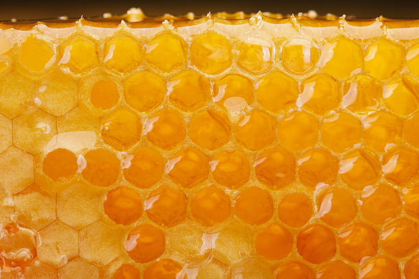 Honeycomb slice Honeycomb slice beeswax photos stock pictures, royalty-free photos & images