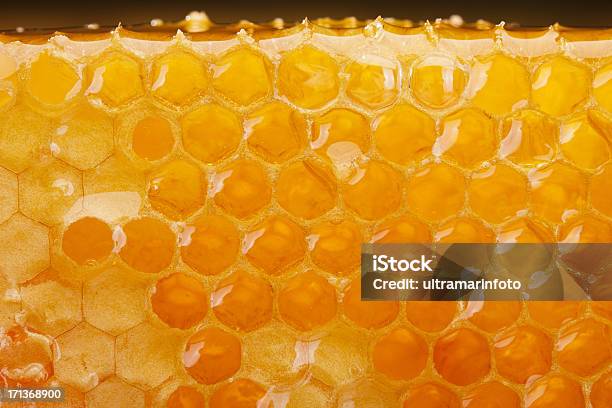 Honeycomb Slice Stock Photo - Download Image Now - Honey, Textured, Nature