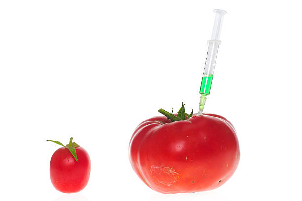 tomatos com seringa no branco - surgical needle clean healthcare and medicine science - fotografias e filmes do acervo