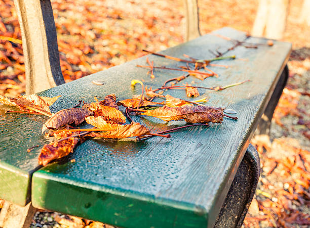 Autumn day in the park.