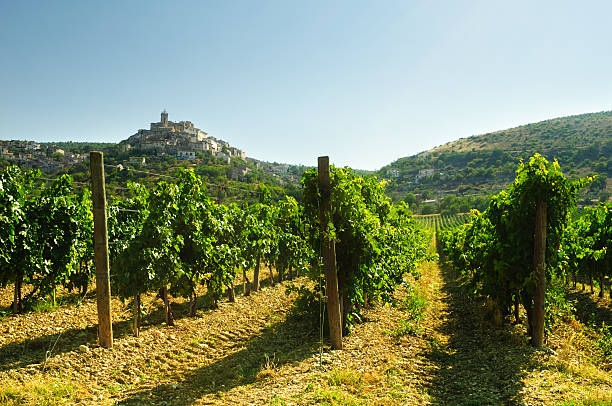 Vineyard On The Hills Of Abruzzo "Vineyard on the hills of Abruzzo, Italy. With the historical little town of Capestrano, on the background." abruzzi photos stock pictures, royalty-free photos & images