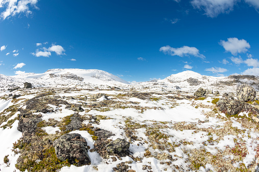 Hiking trail passes patches of snow in autumn colored high mountains after first snowfall of the season in Jotunheimen National Park in Norway. The snow of last season is still melting in some parts of the mountains. The image was captured with a full frame DSLR camera and a sharp fast lens.