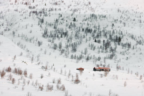 istock Alpine winter landscape on Hemsedal route 1713693186