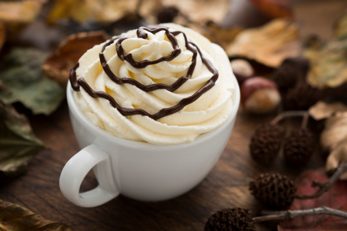 Autumn Hot Chocolate topped with fresh whipped cream and chocolate swirl, surrounded by Autumn Leaves and tree parts.