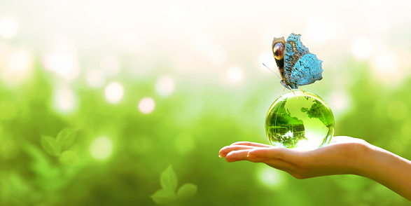 Card for World Earth Day. Earth crystal glass globe ball in human hand, sitting peacock eye butterfly with blue wings on green background. Saving environment, save clean planet, ecology concept.