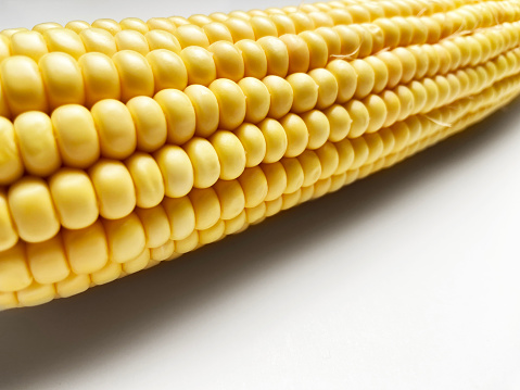 Close-up of a corn on white background with copy space